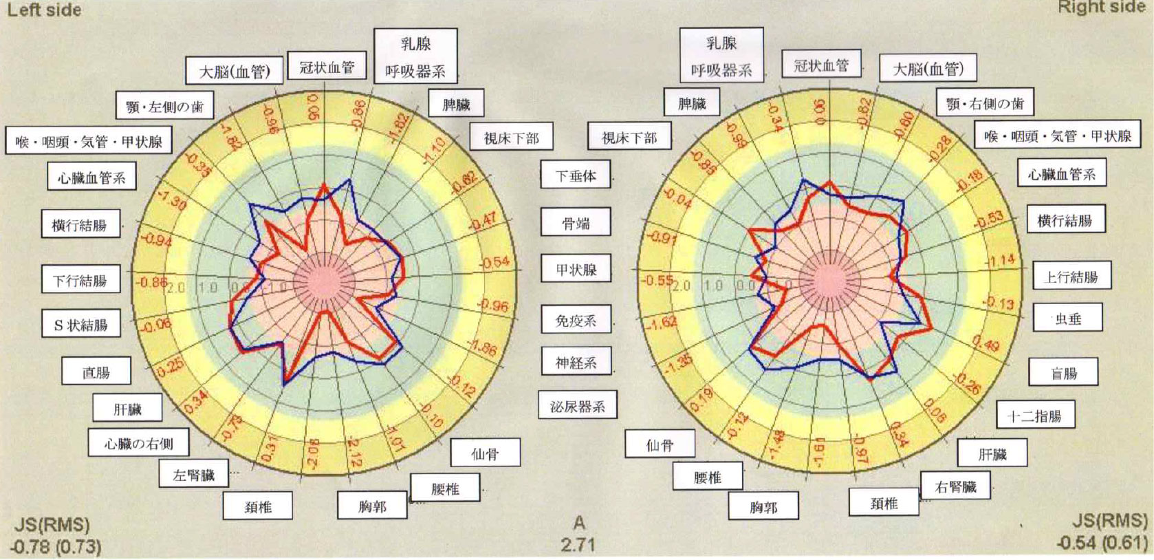 身体の活動エネルギー（左右）