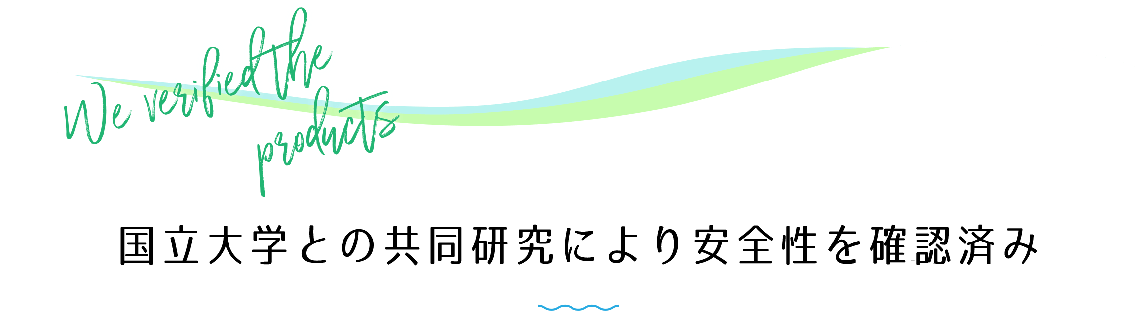 研究された安全性